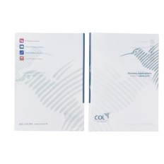 A4 Plastic Folder With Spot Transparent-Wharf T&T