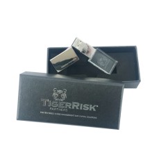 Crystal USB stick-Tiger Risk