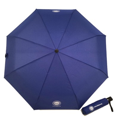 Windproof automatic umbrella-HKTPA
