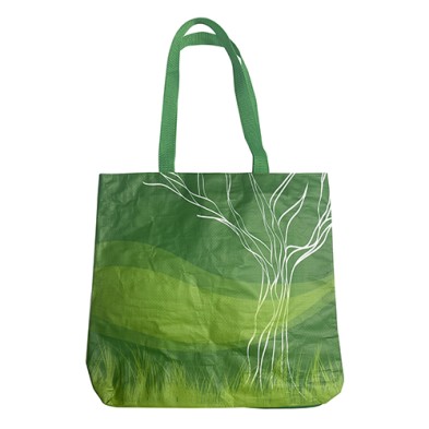 Foil printing shopping bag-HKSKH