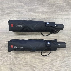 Windproof automatic umbrella-DBS