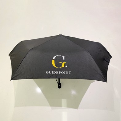 Windproof automatic umbrella-Guidepoint