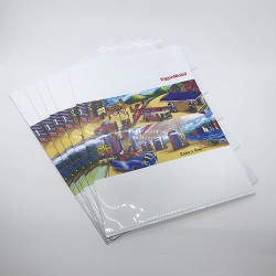A4 Plastic Folder - ESSO