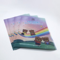 A4 Plastic Folder - Meng Tak Catholic School