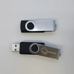 Metal case USB stick -Lingnan