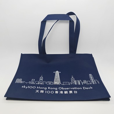 Non-woven shopping bag -SKY100