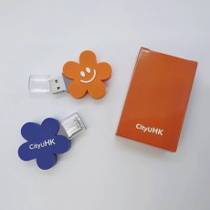 Silicon USB with custom shape - CityU