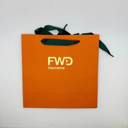 Paper bag -FWD
