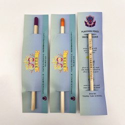 Sprout Pencil 可种植铅笔-Shatin Tsung Tsin School