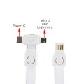 Lanyard Charging Cable 3 in 1