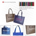 Non-woven shopping bag