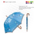 标准直雨伞