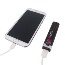 DBS 2600mAh power bank