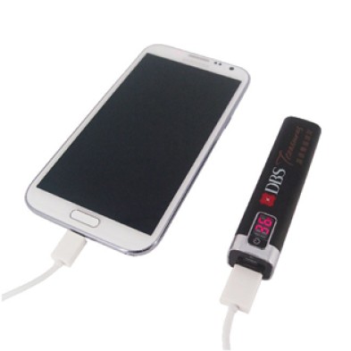 DBS 2600mAh power bank